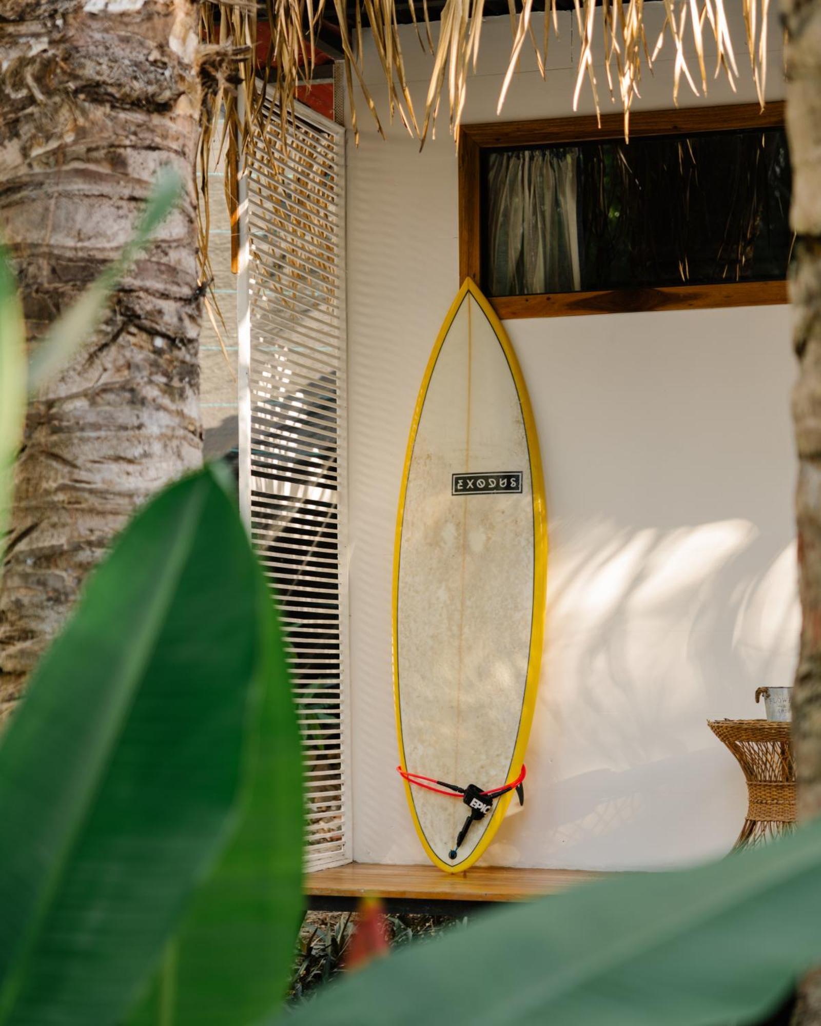 Salty Enthusiasts Share House & Villas Playa Santa Teresa  ภายนอก รูปภาพ